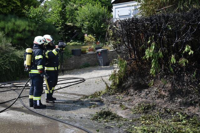 Foto: Alois Braid/zema-medien.de