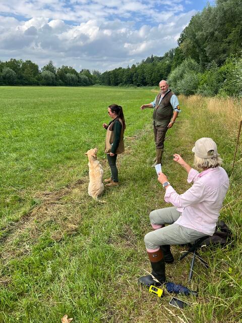 Foto: Flachberger/Guns 'n' Dogs