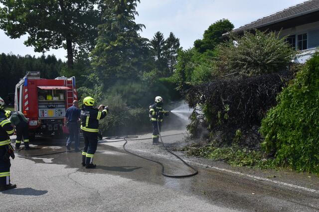 Foto: Alois Braid/zema-medien.de