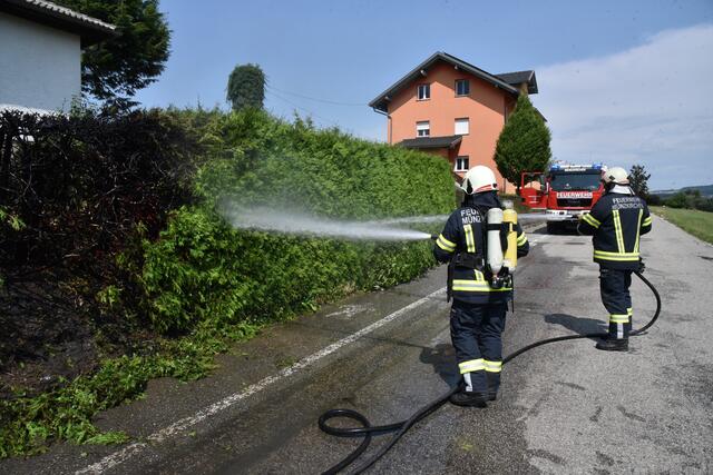 Foto: Alois Braid/zema-medien.de