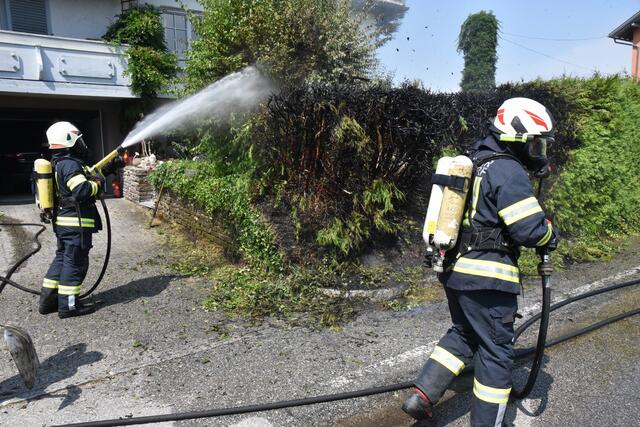Foto: Alois Braid/zema-medien.de