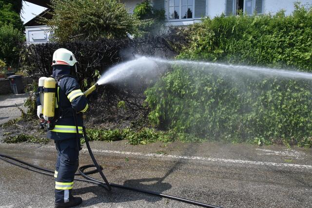 Foto: Alois Braid/zema-medien.de