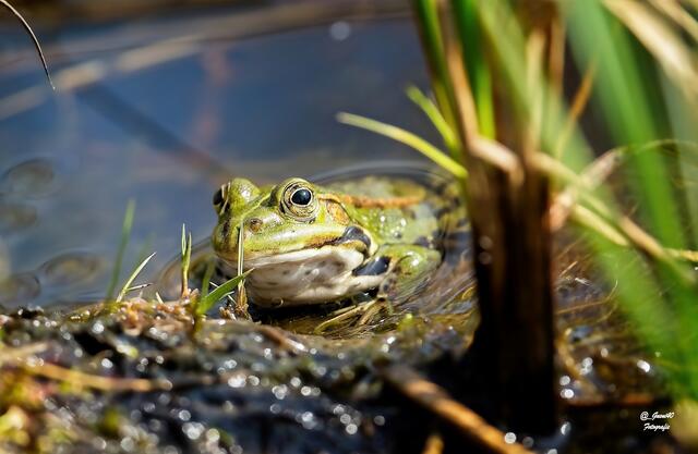 ........ich hab dich nicht gehört .....