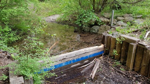 Die Grünen Donaustadt kritisieren die Situation rund um die Wasserversorgung der Unteren Lobau. | Foto: Grüne Donaustadt