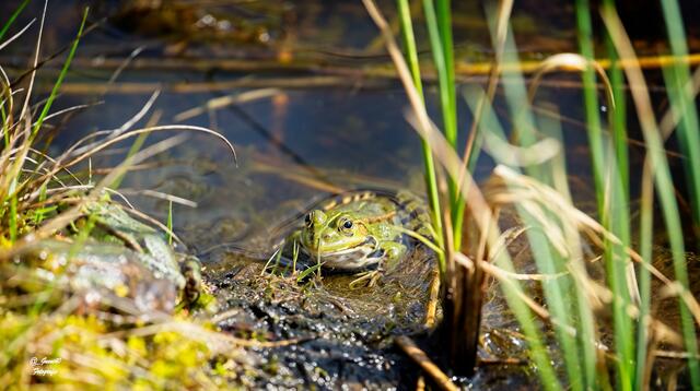 ......ist die Luft draussen rein .....