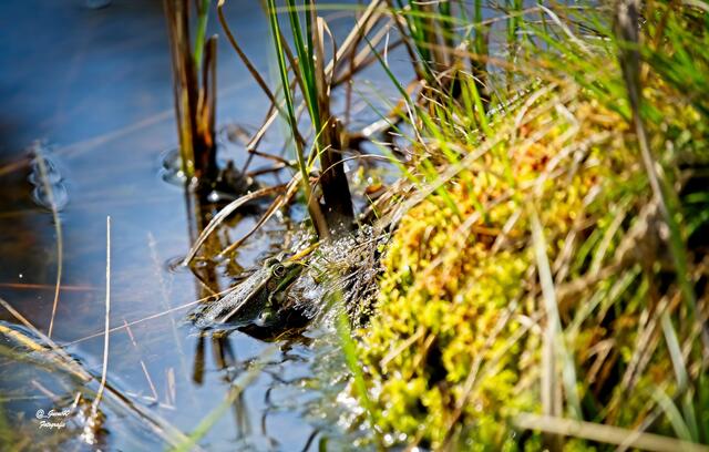 ...ok,dann vertraue ich dir .....