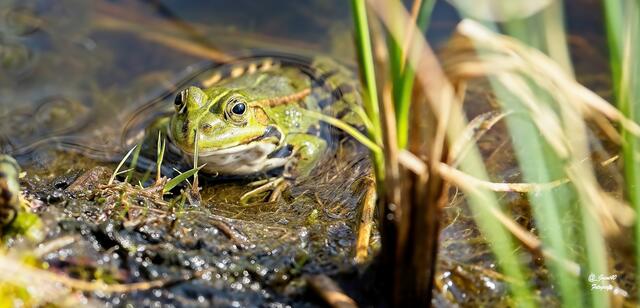 .....du Güni,soll ich rauskommen ....