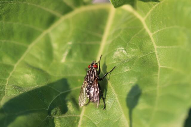 Da reib ich mir die Hände..., weil`s da so schön ist.😊