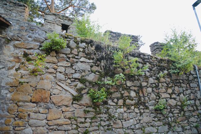 Die Stadtmauer von Weitra ist weitgehend erhalten. | Foto: Pilz
