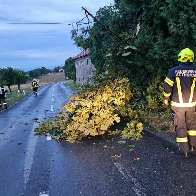 Die Feuerwehr St. Thomas stand mit 14 Mann im Einsatz. | Foto: Feuerwehr St. Thomas
