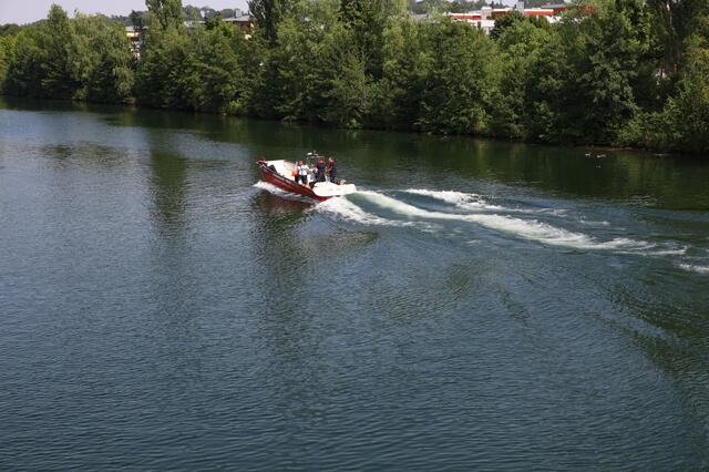 Die Strömung der Traun wurde einem Dackel in Wels zum Verhängnis - das Tier wurde abgetrieben. Ein Suche mit Feuerwehrboot verlief vorerst ergebnislos.