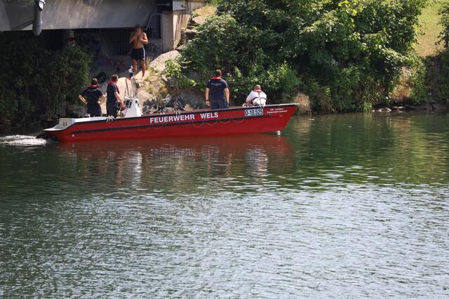 Die Strömung der Traun wurde einem Dackel in Wels zum Verhängnis - das Tier wurde abgetrieben. Ein Suche mit Feuerwehrboot verlief vorerst ergebnislos.