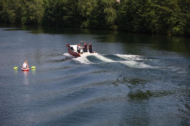 Die Strömung der Traun wurde einem Dackel in Wels zum Verhängnis - das Tier wurde abgetrieben. Ein Suche mit Feuerwehrboot verlief vorerst ergebnislos.