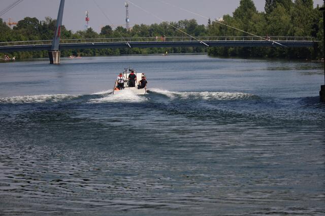 Die Strömung der Traun wurde einem Dackel in Wels zum Verhängnis - das Tier wurde abgetrieben. Ein Suche mit Feuerwehrboot verlief vorerst ergebnislos.