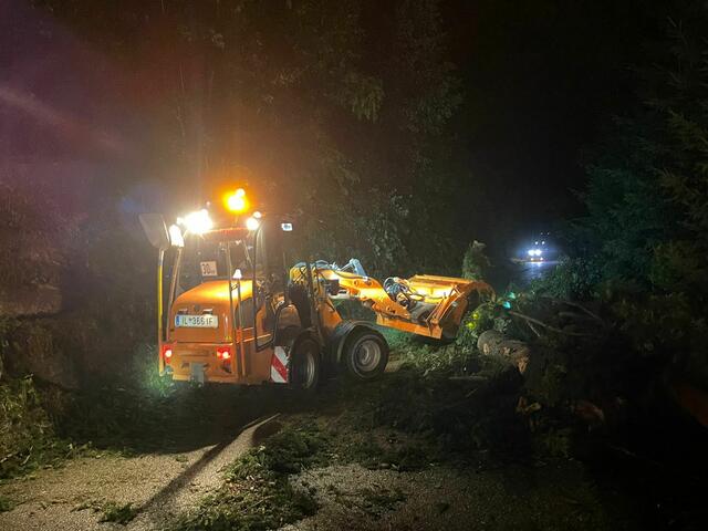 Dutzende Bäume sind im Volderer Gemeindegebiet umgeknickt. Die Volderer Florianis arbeiten die zahlreichen Einsätze ab. | Foto: FF Volders