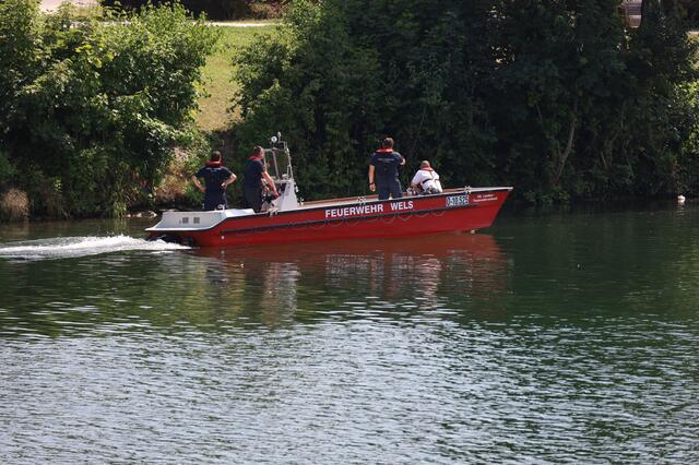 Die Strömung der Traun wurde einem Dackel in Wels zum Verhängnis - das Tier wurde abgetrieben. Ein Suche mit Feuerwehrboot verlief vorerst ergebnislos.