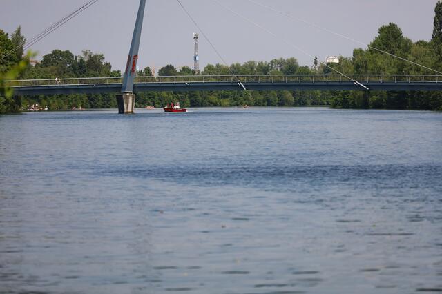 Die Strömung der Traun wurde einem Dackel in Wels zum Verhängnis - das Tier wurde abgetrieben. Ein Suche mit Feuerwehrboot verlief vorerst ergebnislos.