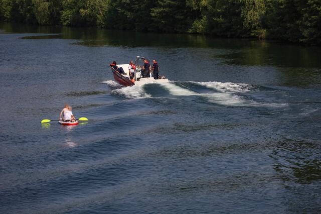 Die Strömung der Traun wurde einem Dackel in Wels zum Verhängnis - das Tier wurde abgetrieben. Ein Suche mit Feuerwehrboot verlief vorerst ergebnislos.