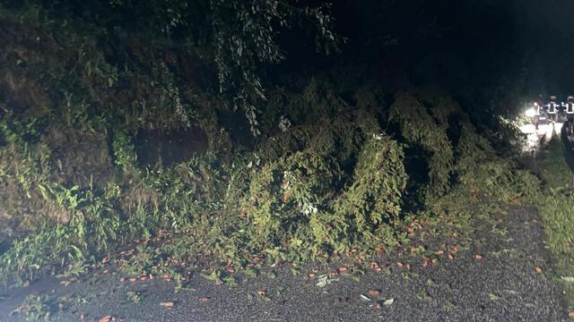 Die FF Volders hatte im Ortsgebiet bis Mitternacht rund sieben Einsätze zu verzeichnen. | Foto: FF Volders