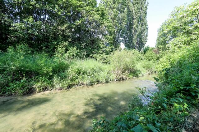 Die Liesing wird Stück für Stück zum Naherholungsparadies.  | Foto: PID/Christian Fürthner