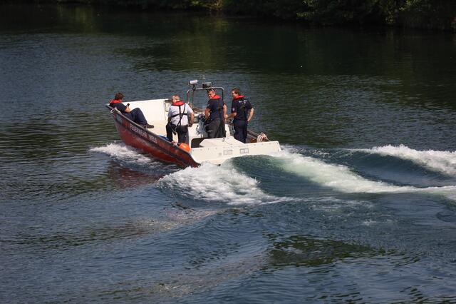 Die Strömung der Traun wurde einem Dackel in Wels zum Verhängnis - das Tier wurde abgetrieben. Ein Suche mit Feuerwehrboot verlief vorerst ergebnislos.