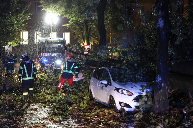 Ab 1 Uhr zog das Unwetter von Bayern kommend über Oberösterreich und wütete mit Windspitzen von mehr als 120 km/h. In Wels stürzte ein Baum auf ein geparktes Auto.
 | Foto: laumat.at/Matthias Lauber