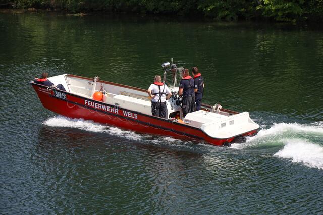 Die Strömung der Traun wurde einem Dackel in Wels zum Verhängnis - das Tier wurde abgetrieben. Ein Suche mit Feuerwehrboot verlief vorerst ergebnislos.