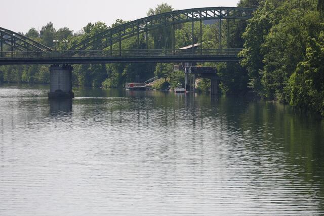 Die Strömung der Traun wurde einem Dackel in Wels zum Verhängnis - das Tier wurde abgetrieben. Ein Suche mit Feuerwehrboot verlief vorerst ergebnislos.