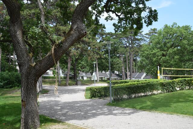 Waldkabanen in Bad Vöslau | Foto: Katrin Pirzl