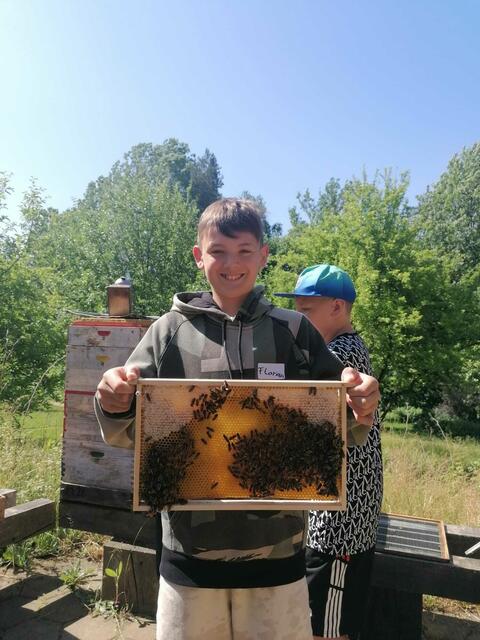 Schüler der MS St, Martin mit einem Bienenvolk.  | Foto: MS St. Martin