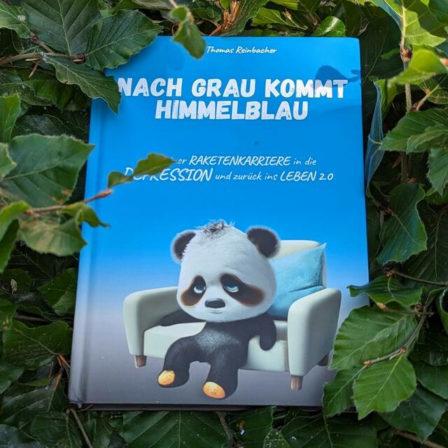 Nach Grau kommt Himmelblau - das erste Buch von Thomas Reinbacher. | Foto: Reinbacher