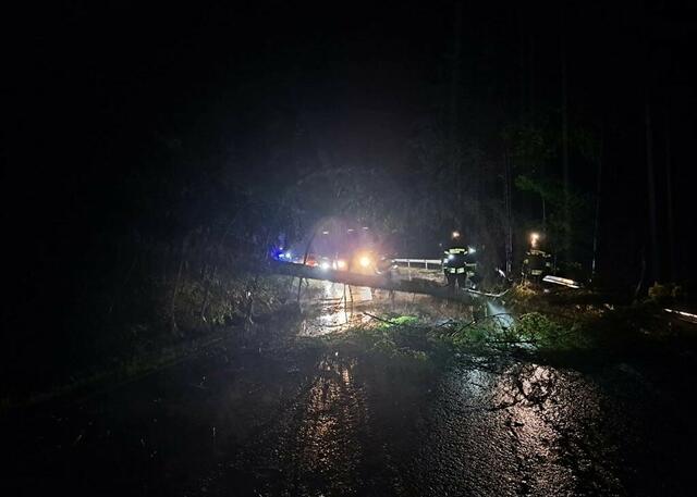 Auch umgestürzte Bäume sorgten in Stanz für jede Menge Arbeit für die Feuerwehrmitglieder.  | Foto: BFVMZ