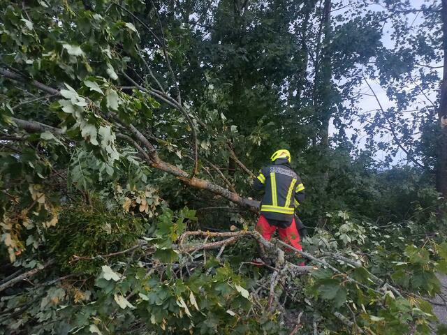 Foto: Feuerwehren und Peter Röck