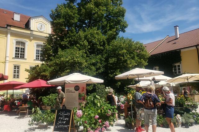 Im Innenhof steht eine Linde und darunter kann man im Schatten gemütlich essen oder Kaffee trinken.