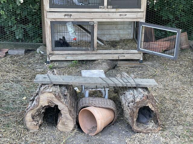 Auch Tiere gibt es. Ein Streichelzoo wird ebenfalls bald "eröffnet".