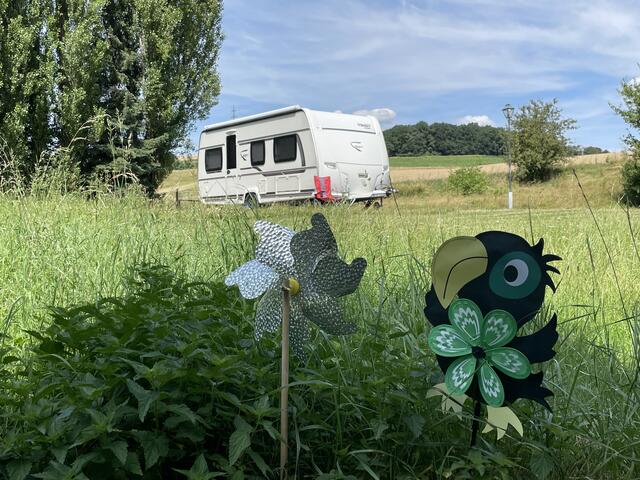 Die BezirksBlätter besuchten den Finsterhof bei Neulengbach, um mehr über die Faszination "Camping" zu erfahren.