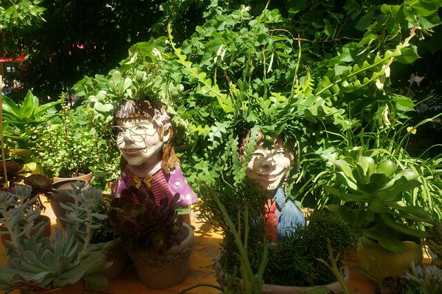 FRÖHLICHE GESICHTER toll BEGRÜNT.