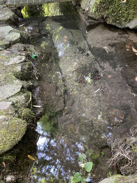 Foto: FF Altmünster