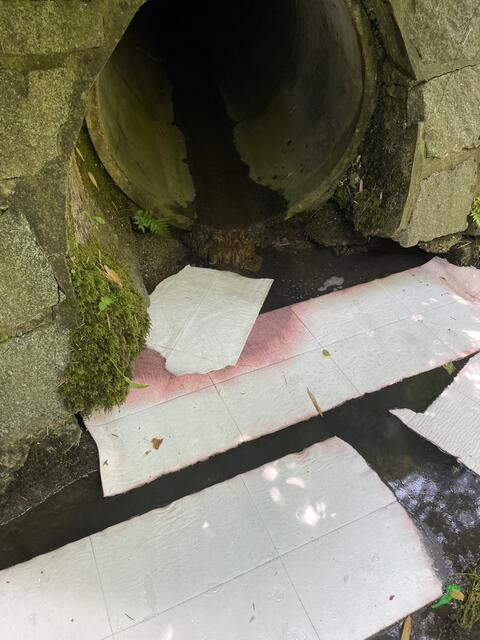 Foto: FF Altmünster