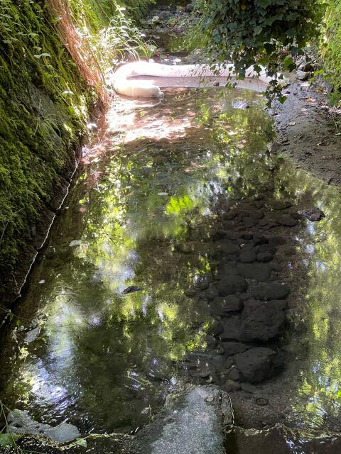 Foto: FF Altmünster