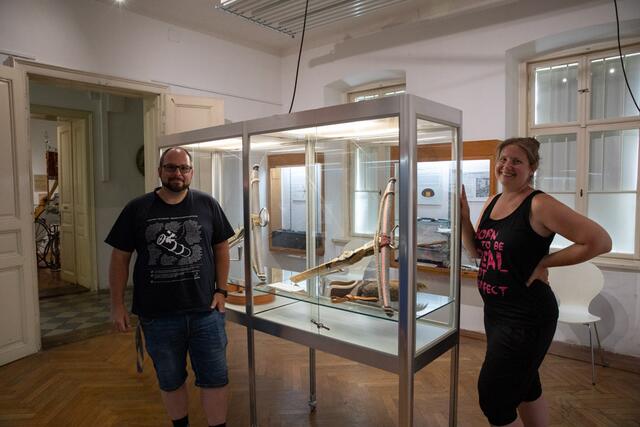 Die Sonderausstellung  "Die Armbrust – Hightech-Waffe des Mittelalters" kann zurzeit im Städtischen Museum in Neunkirchen besucht werden.