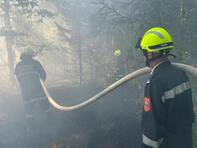 Aufmerksame Spaziergänger hatten leichte Rauchschwaden im angrenzenden Waldstück bemerkt und sofort die Feuerwehr verständigt. | Foto: FF Hoheneich