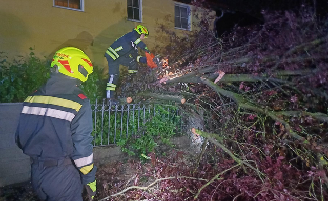 Im Bezirk Amstetten ist es zu einen Unwetterschäden gekommen. | Foto: Bfkdo Amstetten