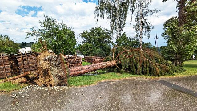 Nicht nur in Heugraben riss der Sturm Bäume um. | Foto: Feuerwehr Heugraben