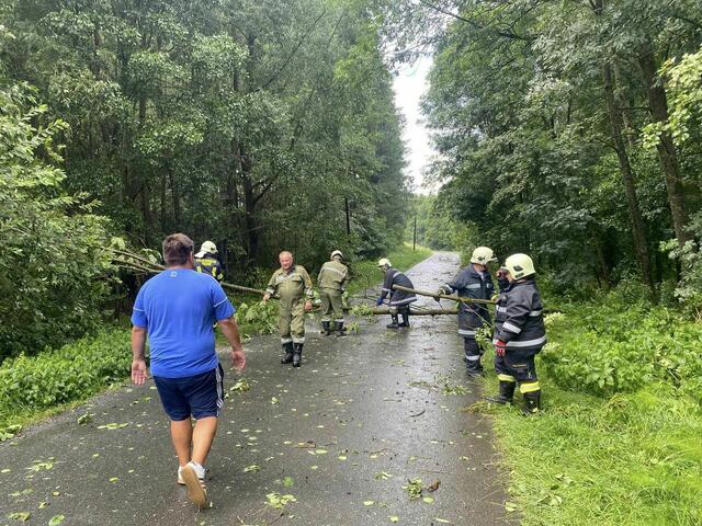 Die Feuerwehr Rohr räumte die Straße in Richtung Burgauberg, die von einem umgestürzten Baum blockiert war. | Foto: Feuerwehr Rohr