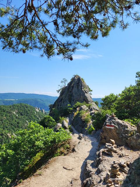 Sigrid Reinberger aus der Region Herzogenburg/Traismauer hat uns dieses Foto zugesandt. Es zeigt den Vogelbergsteig in Dürnstein (Wachau). | Foto: Sigrid Reinberger