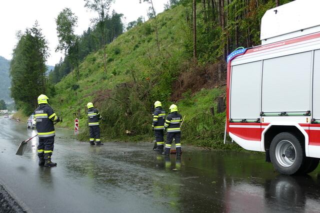 Fünf Feuerwehren waren in Murau im Einsatz. | Foto: Feuerwehr