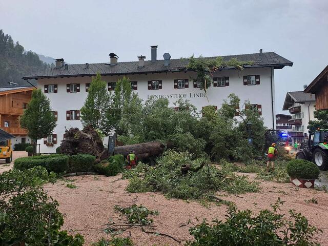 GH Linde Stumm | Foto: privat