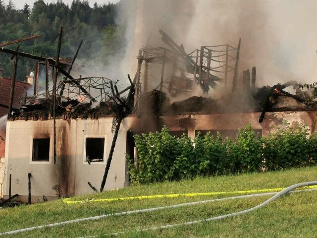 Etwa 20 Tiere konnten rechtzeitig und unverletzt in Sicherheit gebracht werden. | Foto: DOKU NÖ