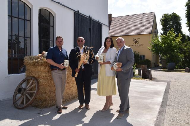 Laut den aktuellsten Zahlen ist die Getreideernte 2023 durchschnittlich ausgefallen, Einbußen sind dabei in allen Regionen des Bundeslands spürbar.

  | Foto: Stefan Schneider